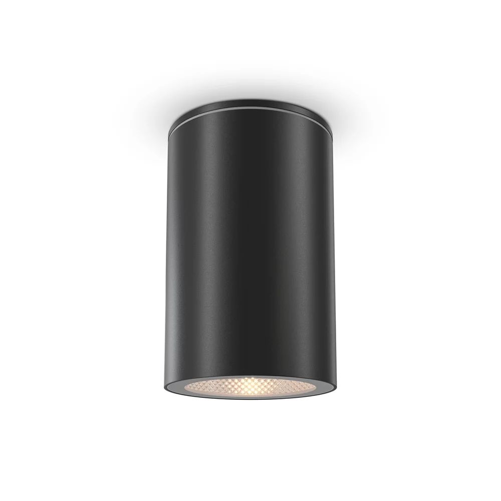 Plafoniera Maytoni Roll negru 1 bec