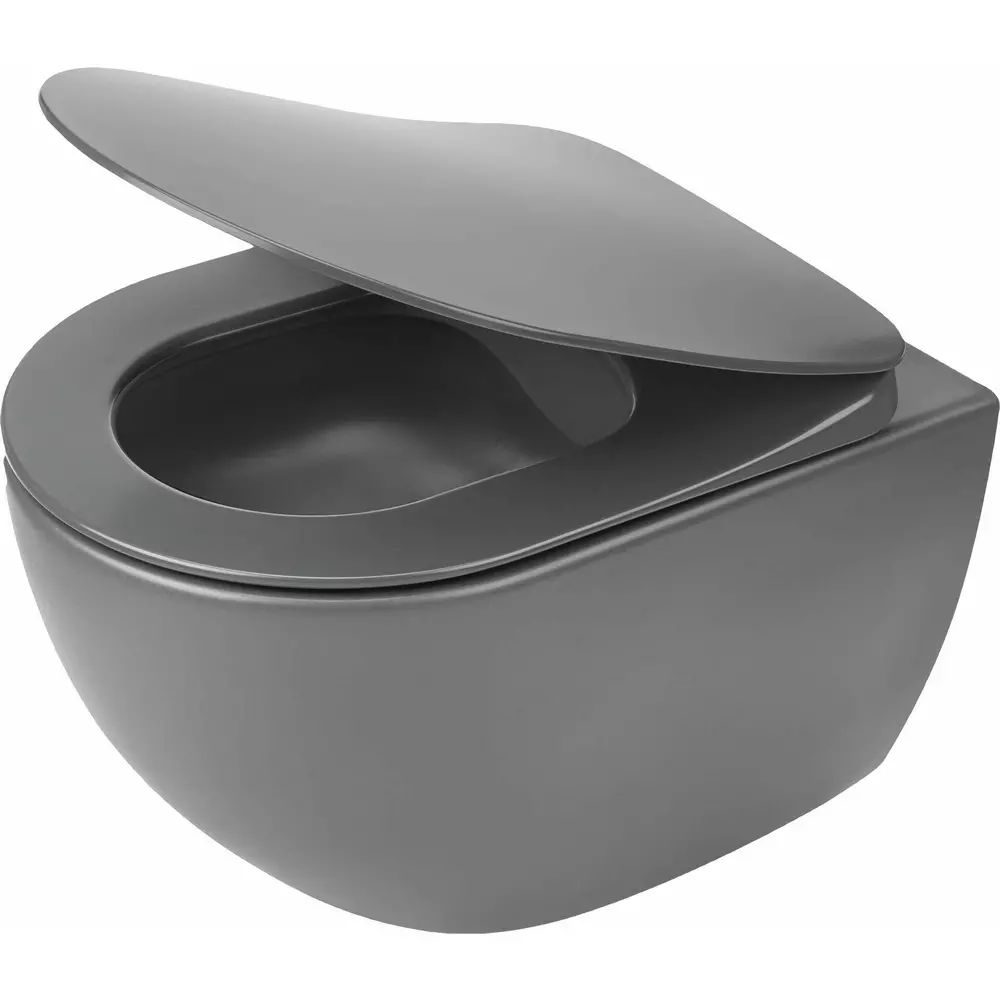 Set Vas WC Deante Peonia antracit cu capac soft close