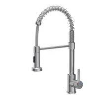 Baterie bucatarie cu dus extractibil Quadron Pop Salma finisaj inox periat