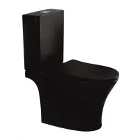 Set vas WC pe pardoseala Inter Ceramic Rimless negru cu rezervor si capac softclose