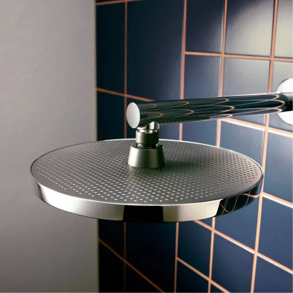 Palarie de dus rotunda Hansgrohe Activera S EcoSmart 24 cm crom lucios 1 functie picture - 4