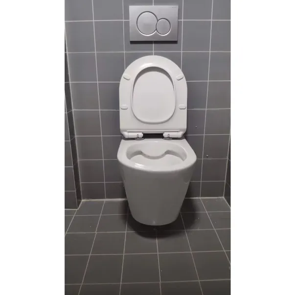 Set vas WC suspendat Inter Ceramic Rimless cu capac softclose finisaj alb lucios picture - 3