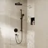 Palarie de dus rotunda Hansgrohe Activera S EcoSmart 24 cm negru mat 1 functie picture - 5