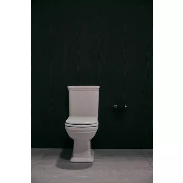 Rezervor pe vas WC Ideal Standard Atelier Calla cu alimentare laterala alb lucios picture - 4