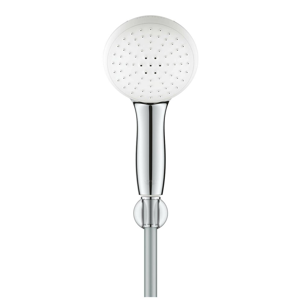 Set de dus Grohe Tempesta 110 cu porter si 2 functii