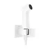 Set dus igienic cu corp ingropat Hansgrohe Bidette E EcoSmart 1 jet alb mat picture - 2