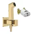 Set dus igienic cu corp ingropat Hansgrohe Bidette E EcoSmart 1 jet auriu lucios picture - 1