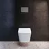 Set rezervor WC cu cadru Ideal Standard ProSys si clapeta Oleas M1 crom lucios picture - 2