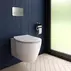 Set rezervor WC cu cadru Ideal Standard ProSys si clapeta Oleas M3 alb mat picture - 2