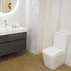 Set vas wc cu capac si rezervor aparent Fluminia Paris picture - 8