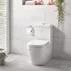 Set vas wc Grohe Euro Ceramic BTW Triple Vortex, PureGuard cu rezervor si capac softclose picture - 4