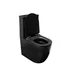 Set vas WC pe pardoseala Rune Ivaldi monobloc negru, Tornado rimless cu sistem vortex si cu capac slim softclose picture - 1