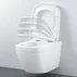 Set vas wc suspendat Grohe Euro Ceramic Rimless Triple Vortex cu PureGuard si capac softclose picture - 2