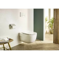 Set vas wc suspendat si capac soft close Roca Meridian-N