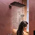 Sistem de dus incastrat Hansgrohe Raindance Alive Q cu termostat si corp ingropat finisaj negru mat picture - 3