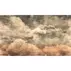 Tapet VLAdiLA Fractus Grunge Sepia 520 x 300 cm picture - 1