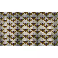 Tapet VLAdiLA Grunge Birds 520 x 300 cm
