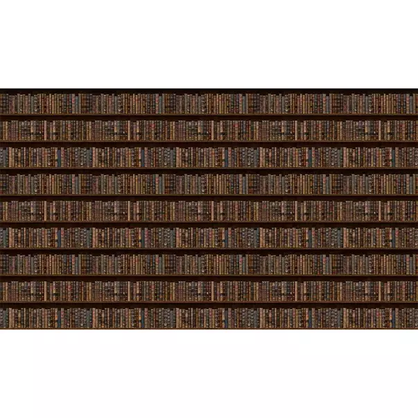 Tapet VLAdiLA Library Style 520 x 300 cm picture - 7