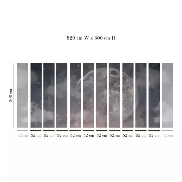 Tapet VLAdiLA Moon Dust 520 x 300 cm picture - 3