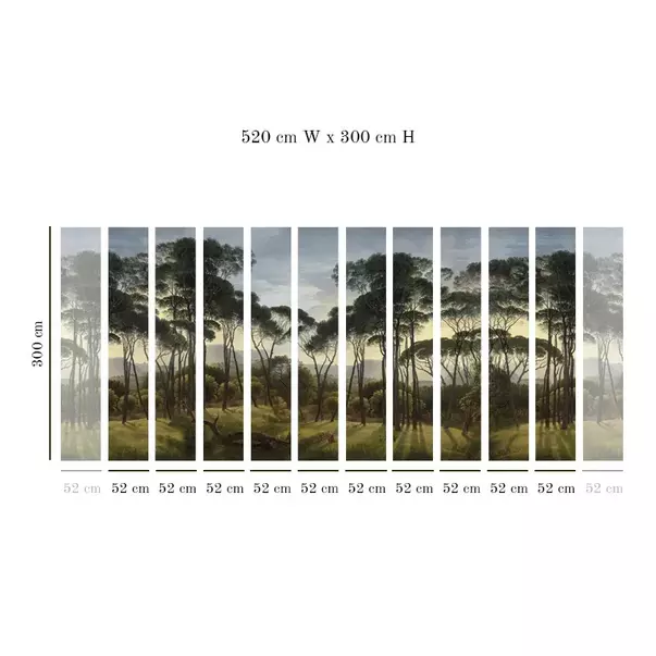 Tapet VLAdiLA Umbrella Pines 520 x 300 cm picture - 3