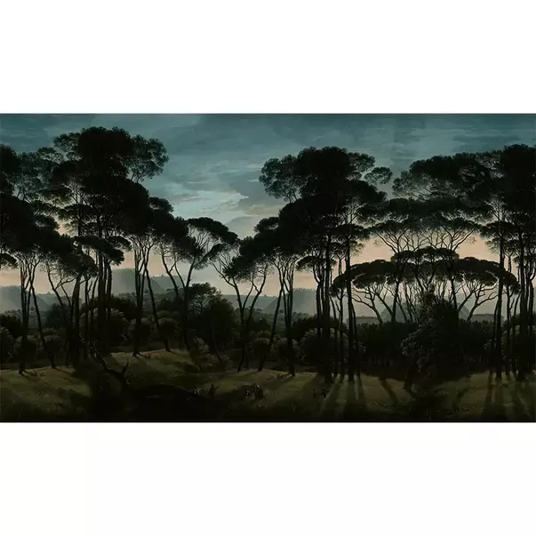 Tapet VLAdiLA Umbrella Pines Dawn 520 x 300 cm picture - 2