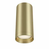 Таванна лампа Maytoni Focus Gold с 1 крушка