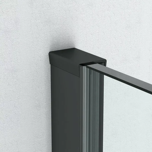 Параван за душ кабина Roth Alina 90x200 см, черен профил picture - 2