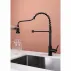 Кухненски смесител Quadron Pop Alice с разтегателен душ, въглеродно черно покритие picture - 4