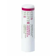 Balsam de buze cu aloe si rosa mosqueta 7ml, Bioearth
