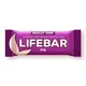 Lifebar baton cu smochine raw bio 47g PROMO