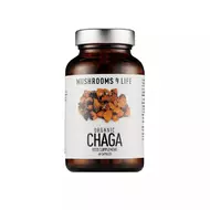 Organic Chaga Mushroom 800 mg Full Spectrum, 60 capsule, Mushrooms4Life-picture