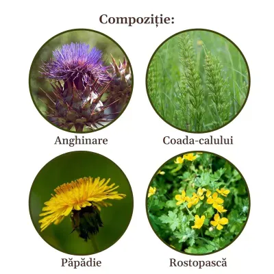 Faunus Plant Ceai Colesterolus 90g