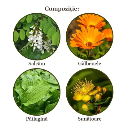 Faunus Plant Ceai Gastricus 90g