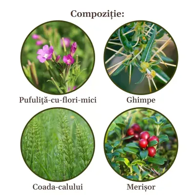 Faunus Plant Ceai Prostatus 90g