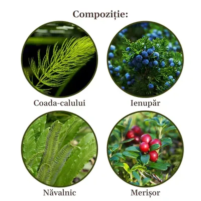Faunus Plant Ceai Renalus 90g