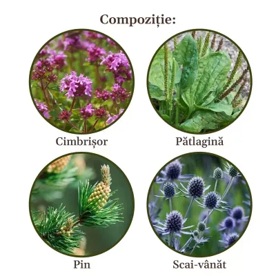 Faunus Plant Ceai Respiratorus 90g