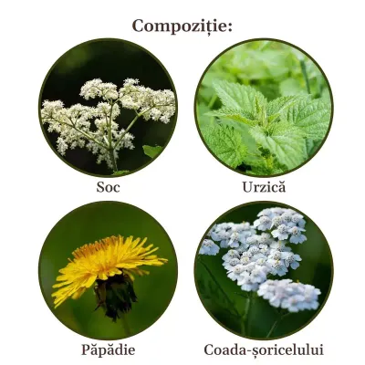 Faunus Plant Ceai Siluetus 90g