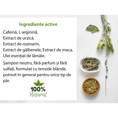 Sampon tratament impotriva caderii parului, 200 ml, Bios Mineral Plant