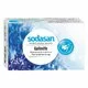 Sapun Solid Bio Pentru Scos Pete 100 Gr Sodasan