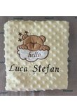 Paturica minky, Ursuletul hello, personalizata, diverse culori, 100x80cm