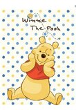 Paturica Winnie the Pooh