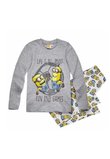 Pijama gri, Life is all about, Minion