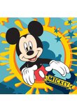 Magic towel Mickey 30x30cm