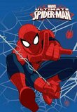 Prosop de maini, Spider-man, Hero, 40x60 cm
