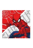 Prosopel magic, Spider-Man, 30x30cm