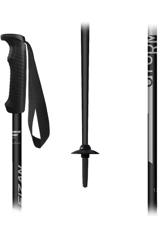 Bețe ski Fizan Storm Grey 2025-2026 picture - 2