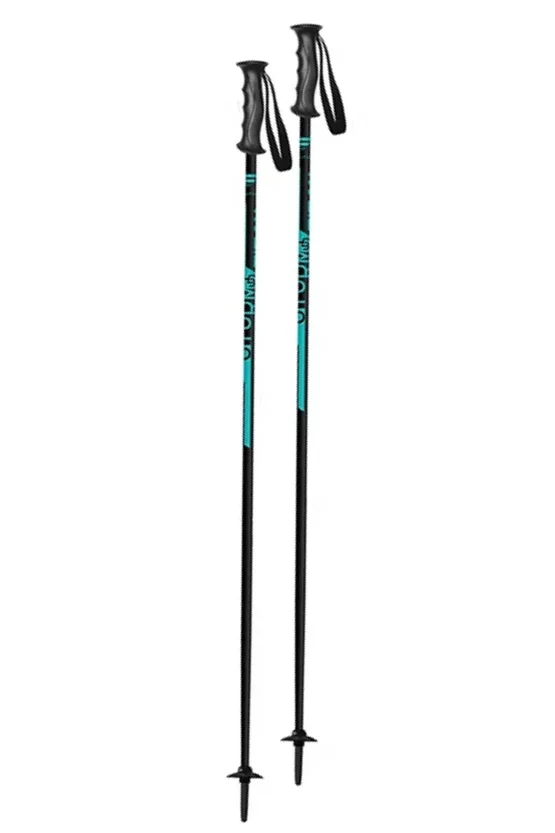 Bețe ski Fizan Storm Jr Light Blue 2025-2026 picture - 1