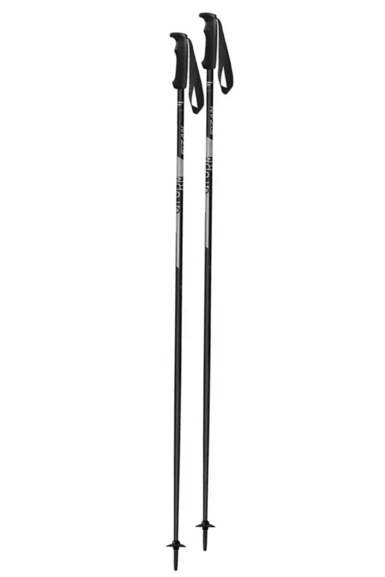 Bețe ski Fizan Storm Grey 2025-2026 picture - 1