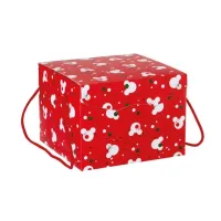 Cutie cadou cu snur Disney