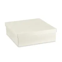 Cutii patrate cu capac mari